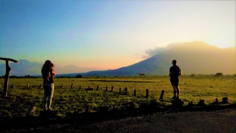 From Banyuwangi ; Baluran National Park & Snorkeling - Itinerary and Activities