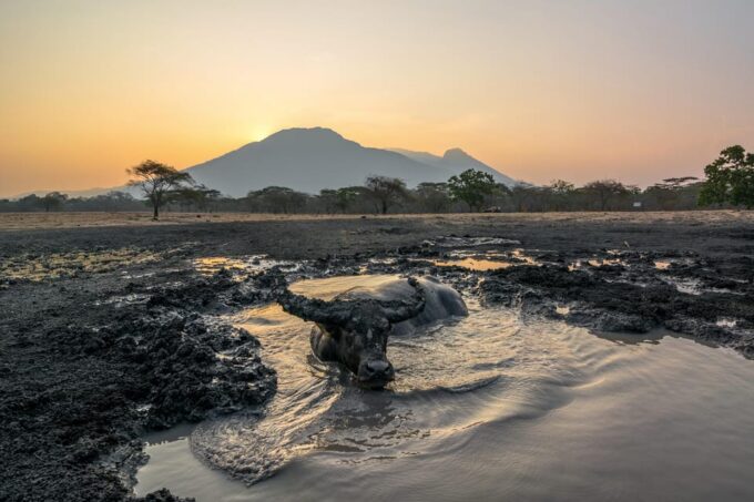 From Banyuwangi ; Baluran National Park & Snorkeling - Snorkeling at Tabuhan Island