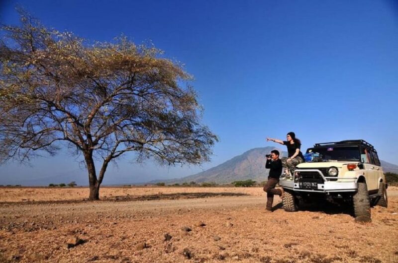 From Banyuwangi: Baluran Wildlife Safari Sunset Tour - Frequently Asked Questions