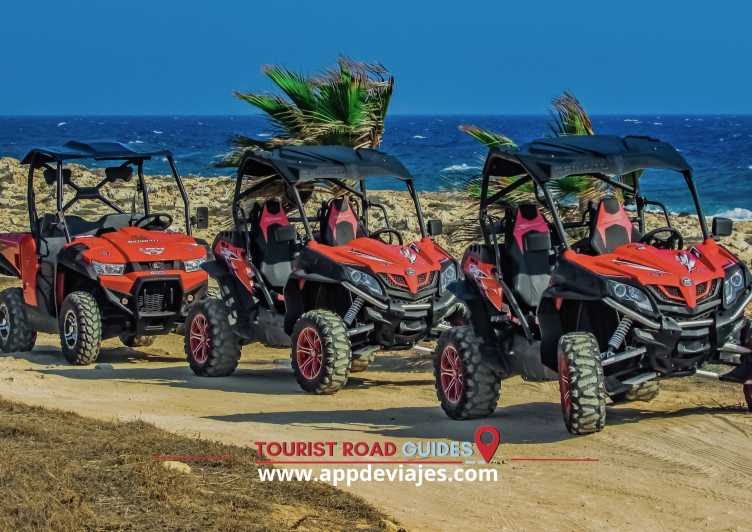 From Barcelona: Buggy Route, Lunch Premium & Visit Winery - Overview and Pricing