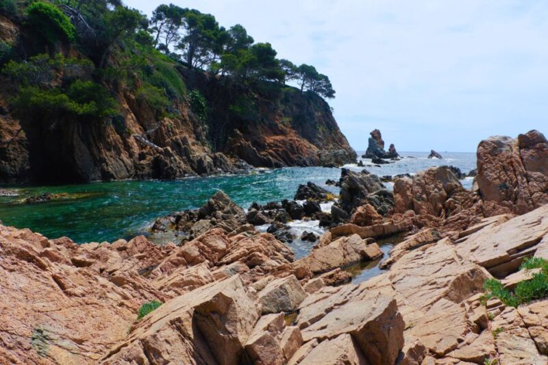 From Barcelona: Cliffs, Coves & Hiking in Costa Brava - Key Points
