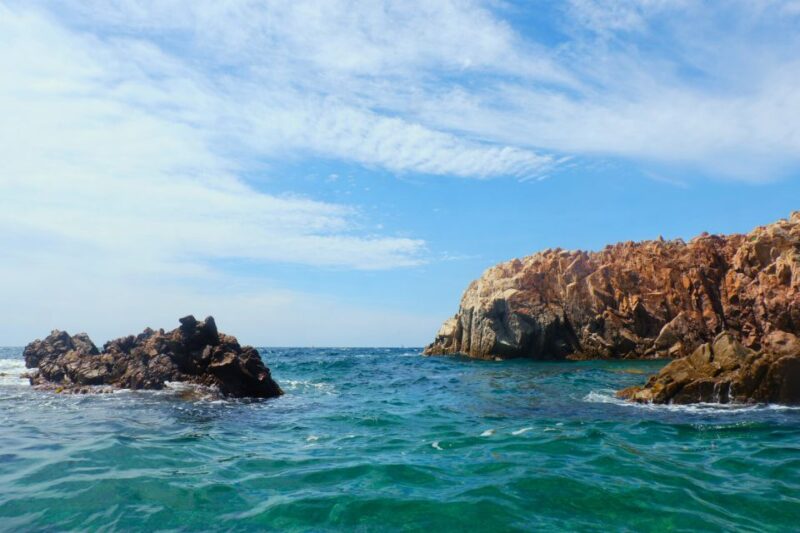 From Barcelona: Cliffs, Coves & Hiking in Costa Brava - Snorkeling in the Mediterranean