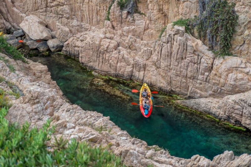 From Barcelona: Costa Brava Kayak & Snorkel Tour With Picnic - Marine Life Encounters