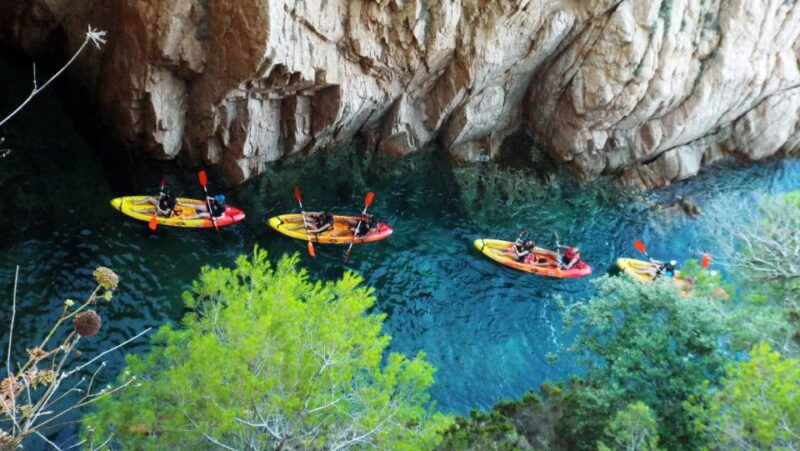From Barcelona: Costa Brava Trekking and Kayaking Tour - Activity Duration and Inclusions