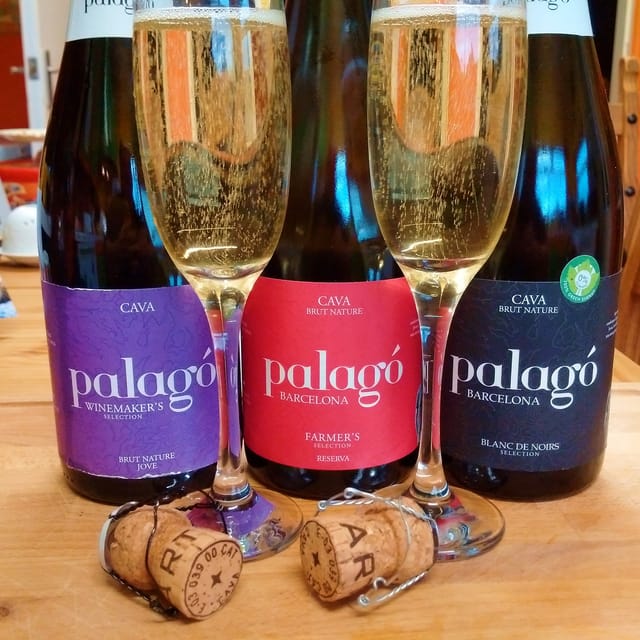 From Barcelona: Create Your Own Cava Workshop & Tasting - Picturesque Countryside Escape