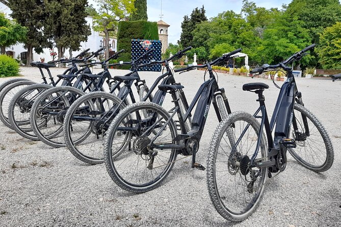 From Barcelona: E-Bike Tour in the Vineyards With 2 Wineries - Accessibility