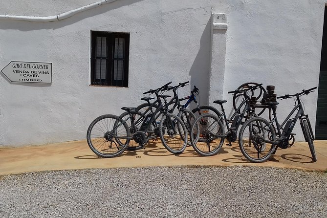 From Barcelona: E-Bike Tour in the Vineyards With 2 Wineries - Reviews and Feedback
