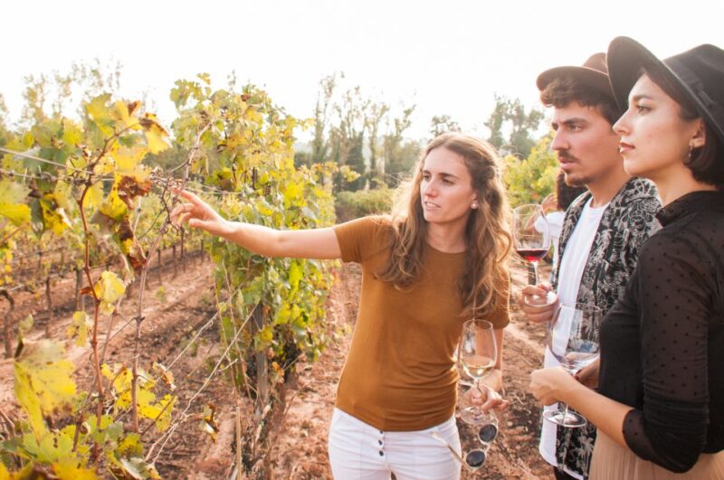 From Barcelona: Full-Day Montserrat & Wine Small Group Tour - Whats Included