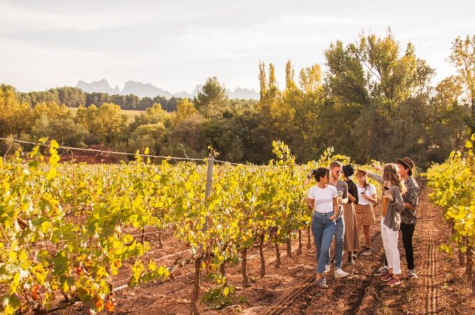 From Barcelona: Full-Day Montserrat & Wine Small Group Tour - Visiting the Winery