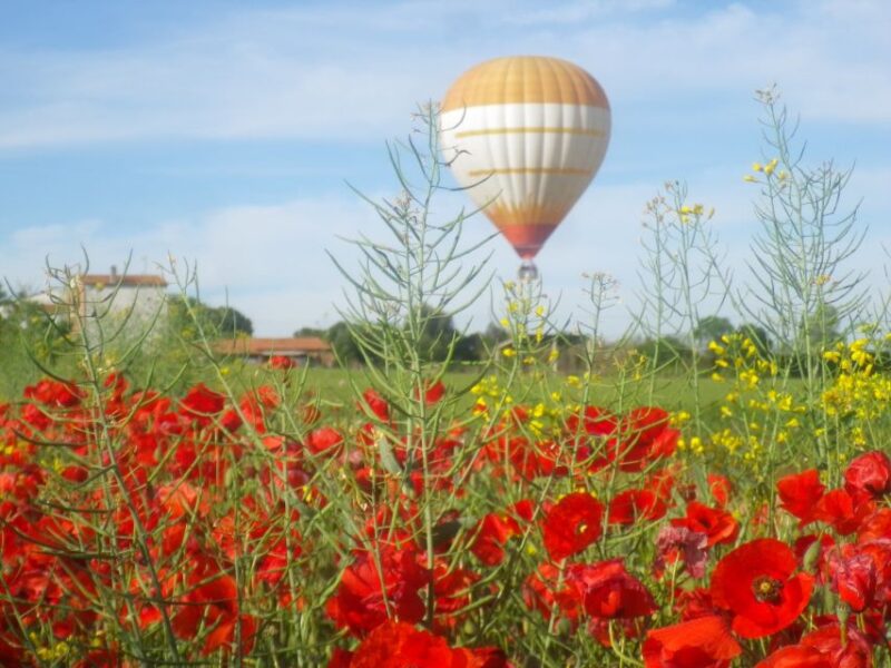 From Barcelona: Half-Day Hot Air Balloon Flight Ticket - Experience the Pyrenees Soar