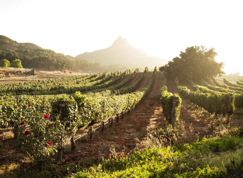 From Barcelona: Half-Day Trip to Montserrat Mountain - Tour Details