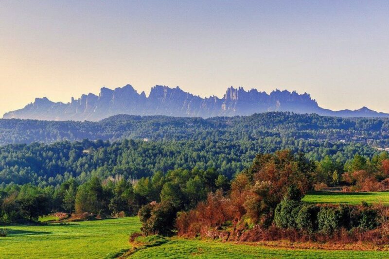 From Barcelona: Montserrat Private Guided Tour and Cable Car - Key Points