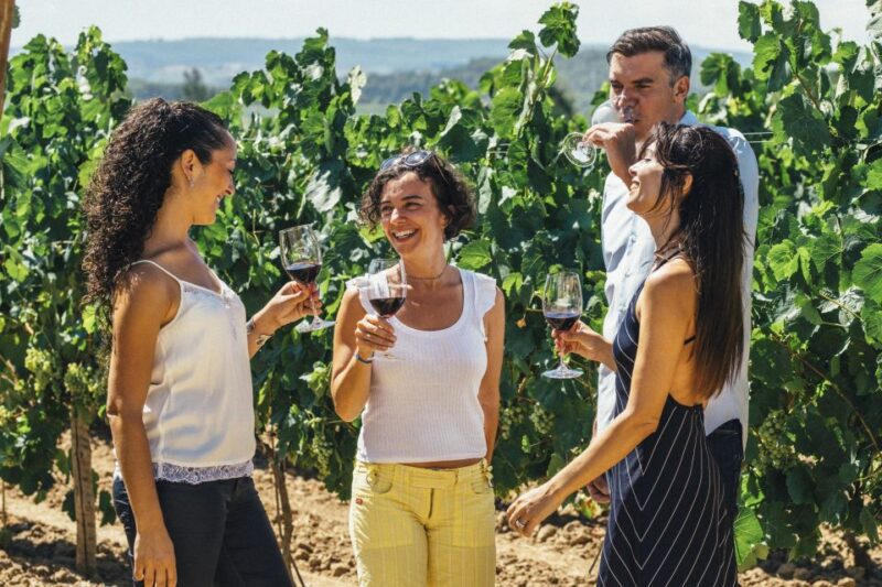 From Barcelona: Penedès Vineyards Tour by 4WD With Wine & Cava - Itinerary