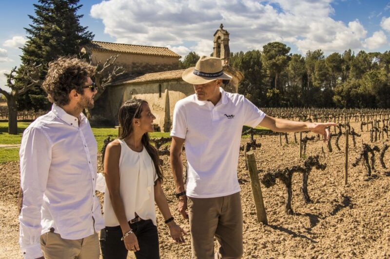 From Barcelona: Penedès Vineyards Tour by 4WD With Wine & Cava - Inclusions