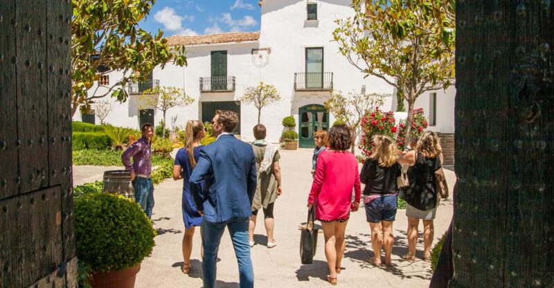 From Barcelona: Private Wine, Tapas and Cava Tour - Winemaking Regions