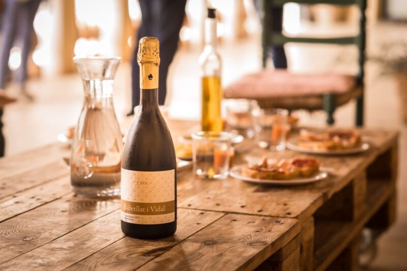 From Barcelona: Private Wine, Tapas and Cava Tour - Ca NEstella Experience