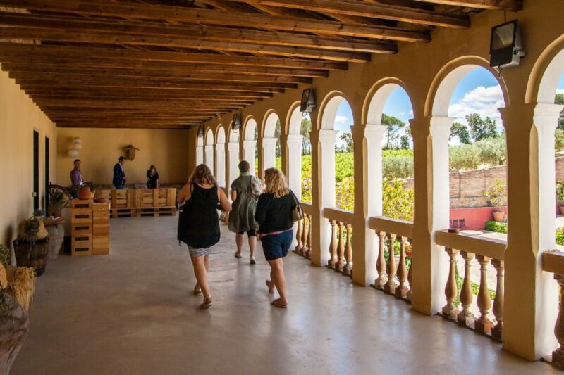 From Barcelona: Private Wine, Tapas and Cava Tour - Wine and Cava Tastings