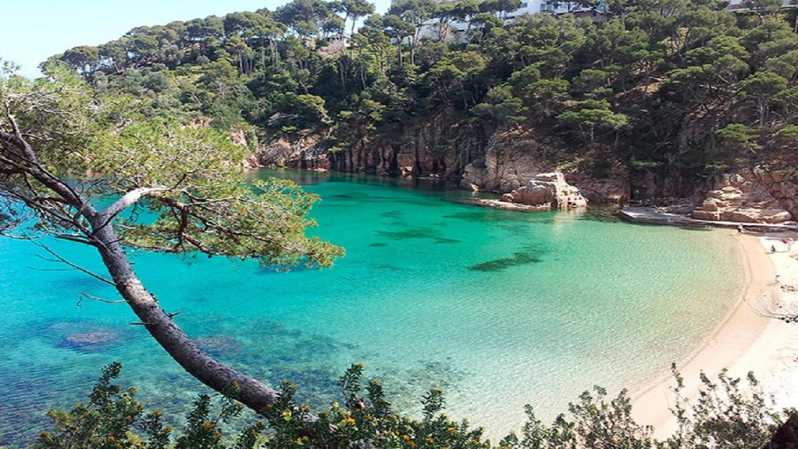 From Barcelona: to Aiguablava & Tamariu Beaches, Costa Brava - Key Points