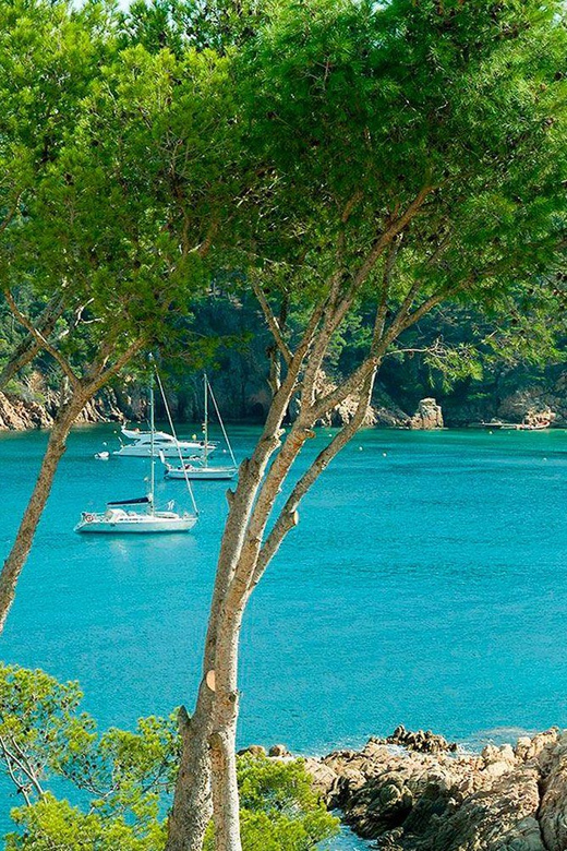 From Barcelona: to Aiguablava & Tamariu Beaches, Costa Brava - Highlights of Aiguablava Beach