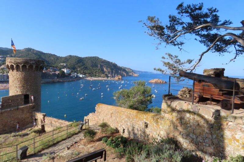 From Barcelona: Tossa De Mar Scuba Diving and 3-Course Meal - Participant Requirements