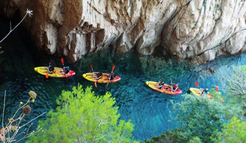 From Barcelona: Tour Kayak and Snorkel in Costa Brava - Guided Kayak & Snorkel Tour