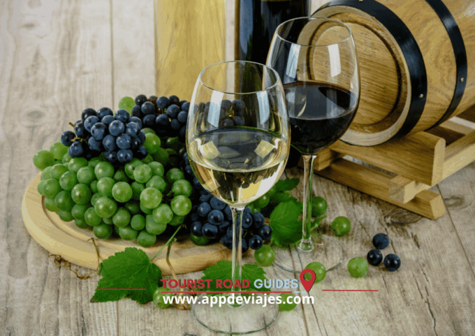 From Barcelona: Tour Private Dalí, Cadaqués & Wines - Frequently Asked Questions