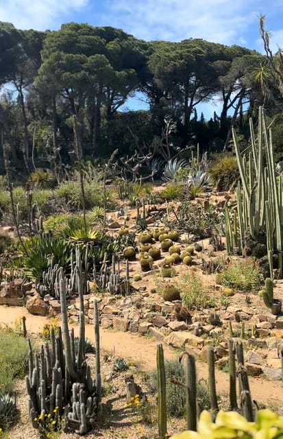 From Barcelona: Wine Tasting and MARIMURTRA Garden & Blanes - Itinerary Highlights