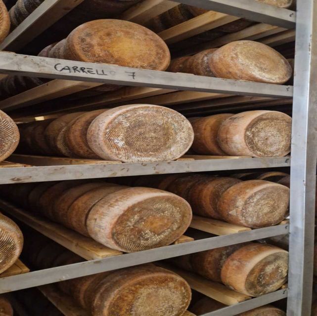 From Bari: Burrata Cheese Experience in a Local Dairy Farm - Important Details to Note