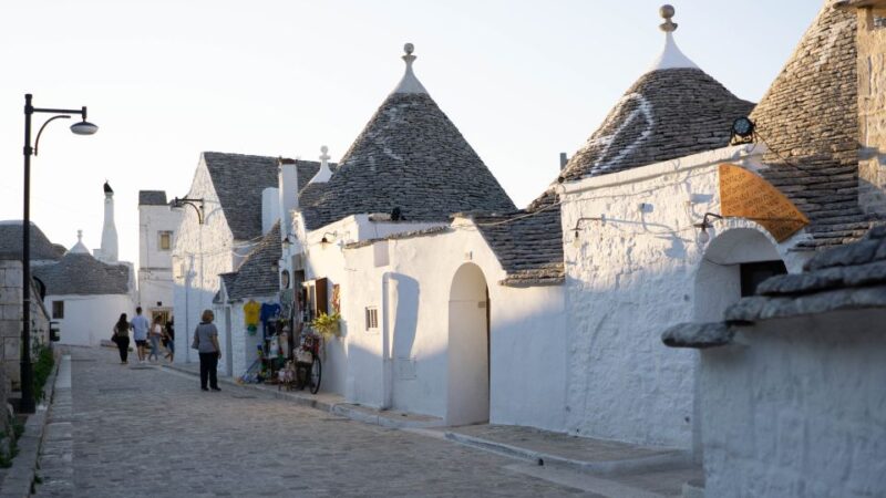 From Bari & Polignano: Alberobello and Matera Full-Day Trip - Transportation and Comfort