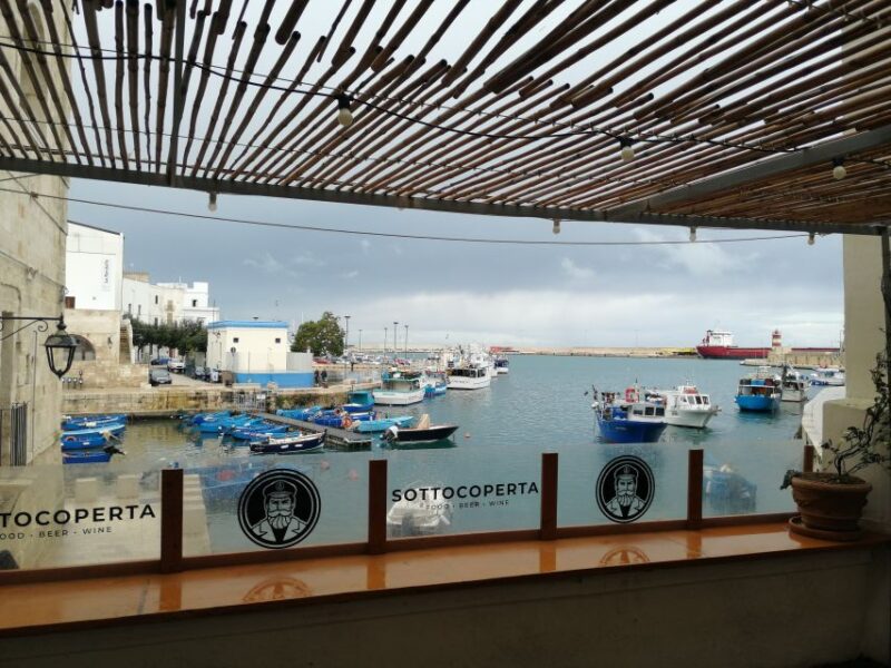 From Bari: Puglia and Matera Sightseeing Tour - Transportation and Group Options