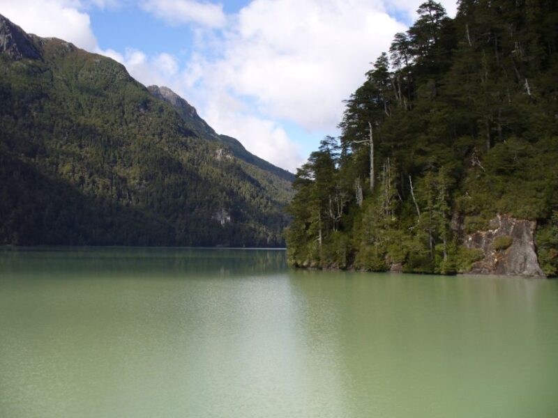 From Bariloche: Victoria Island & the Arrayanes Forest Tour - Inclusions