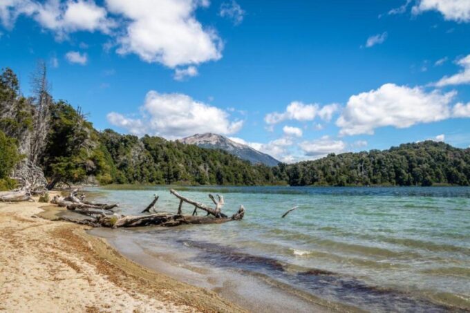 From Bariloche: Victoria Island & the Arrayanes Forest Tour - Customer Reviews