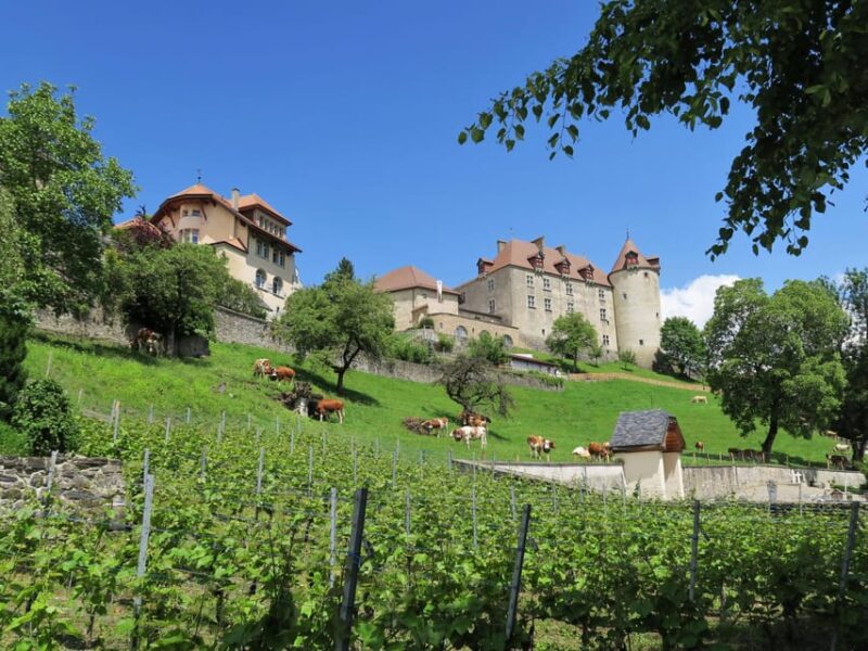 From Basel: Day Trip to Gruyères With Castle and Show Dairy - Inclusions and Accessibility