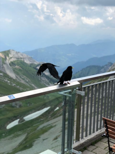 From Basel: Mt. Pilatus and Lake Lucerne Private Tour - Activities on the Tour
