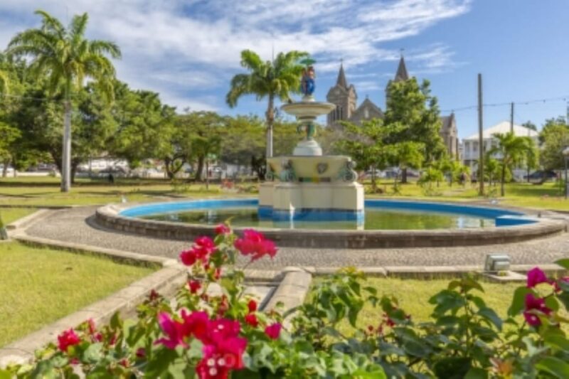 From Basseterre: Private Sightseeing Van Tour and Beach. - Itinerary and Highlights