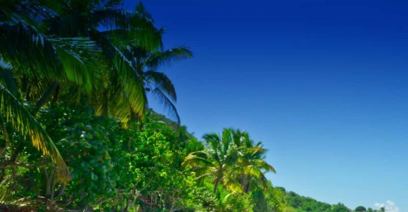 From Basseterre: Private Sightseeing Van Tour and Beach. - Transportation and Comfort