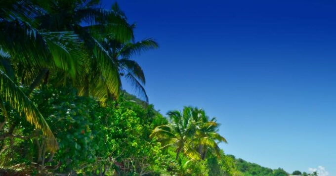 From Basseterre: Private Sightseeing Van Tour and Beach. - Frequently Asked Questions