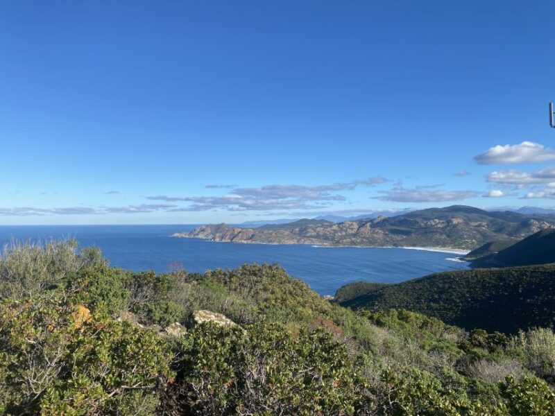 From Bastia: Off-Road Agriates Desert and Beach Excursion - Key Points