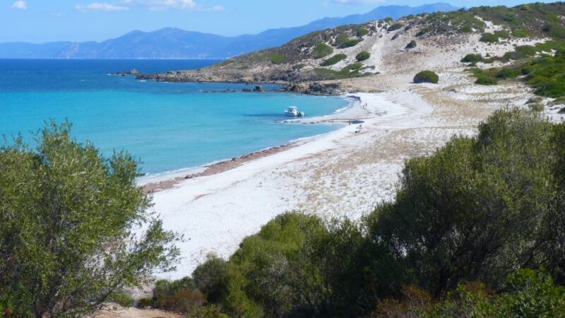 From Bastia: Off-Road Agriates Desert and Beach Excursion - Highlights of the Excursion