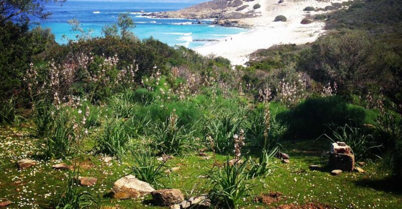 From Bastia: Off-Road Agriates Desert and Beach Excursion - Agriates Desert and Its Features