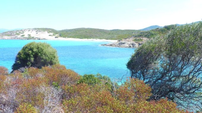 From Bastia: Off-Road Agriates Desert and Beach Excursion - Inclusions and Logistics