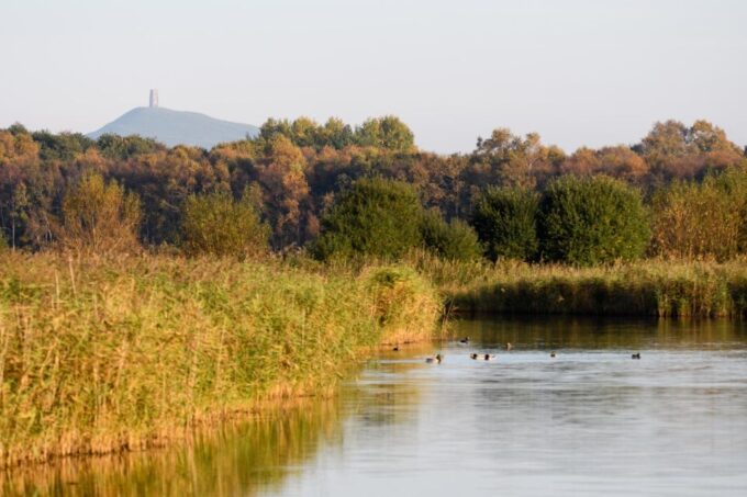 From Bath: Private Tour to Magical Glastonbury - Activities Included