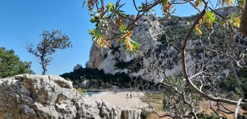 From Baunei: Cala Luna and Dorgali Full-Day Guided Trek - Highlights of the Experience