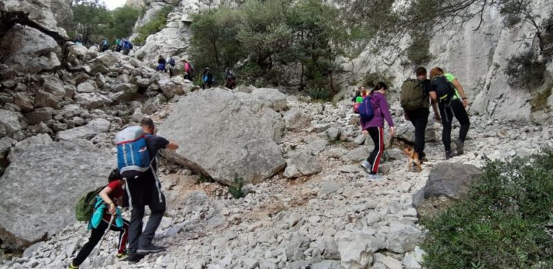 From Baunei: Cala Luna and Dorgali Full-Day Guided Trek - Participant Requirements