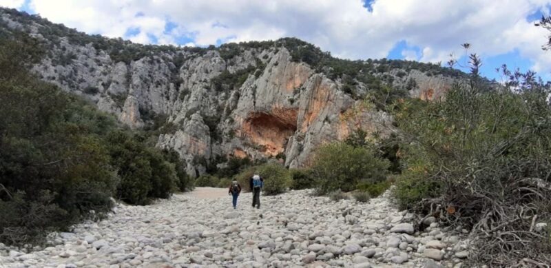 From Baunei: Cala Luna and Dorgali Full-Day Guided Trek - Meeting and Preparation Details