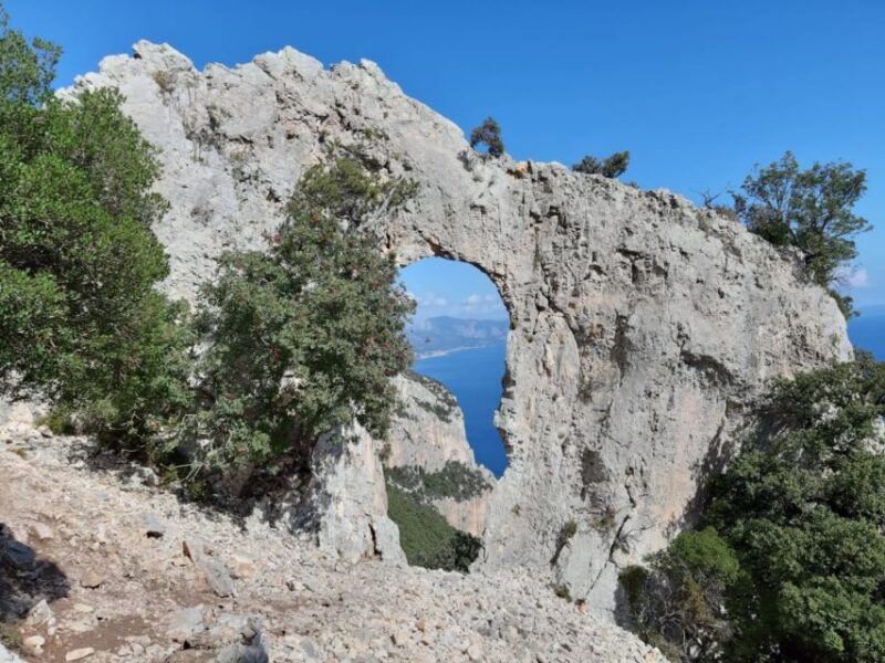 From Baunei: Cala Mariolu Hiking Tour - Inclusions