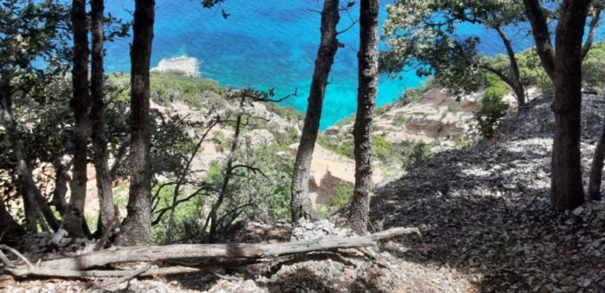 From Baunei: Cala Mariolu Hiking Tour - Tour Confirmation