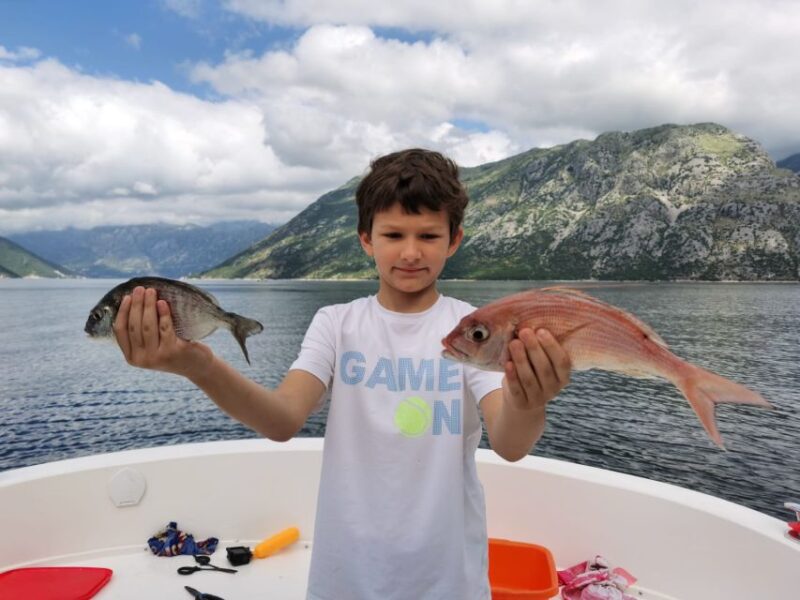 From Bay of Kotor: Blue Cave Private Speedboat Tour - Tour Starting Point
