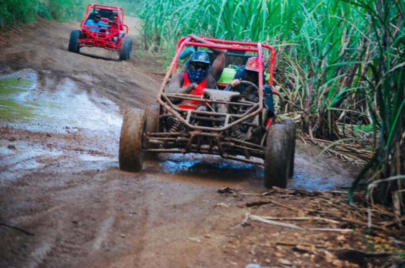 From Bayahibe: Half-day La Romana ATV or 4X4 Buggy Tour - Key Points