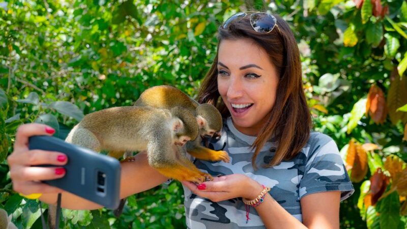 From Bayahibe: Half Day Monkeyland Safari - Location and Duration